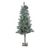 Northlight 4ft. Unlit Lightly Flocked & Glittered Woodland Alpine Artificial Christmas Tree -Christmas Designers Store D489946S 1