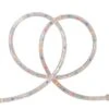 Northlight 18ft. Multi-Colored Outdoor Christmas Rope Lights -Christmas Designers Store D491493S 1