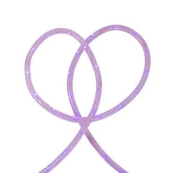 Northlight 24ft. Purple Commercial Grade LED Outdoor Christmas Rope Lights -Christmas Designers Store D491498S 12