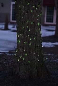 Northlight 2ft. X 8ft. LED Tree Trunk Wrap Christmas Net Lights Green -Christmas Designers Store D491511S 3