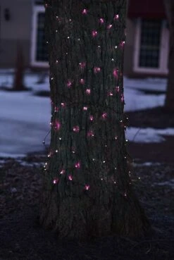 Northlight 2ft. X 8ft. LED Tree Trunk Wrap Christmas Net Lights Pink 14 Northlight 2ft. X 8ft. LED Tree Trunk Wrap Christmas Net Lights Pink -Christmas Designers Store D491512S 12
