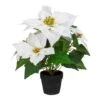 Northlight 14.5" Potted White Artificial Christmas Poinsettia Flower Plant 1 Northlight 14.5" Potted White Artificial Christmas Poinsettia Flower Plant -Christmas Designers Store D491641S 1