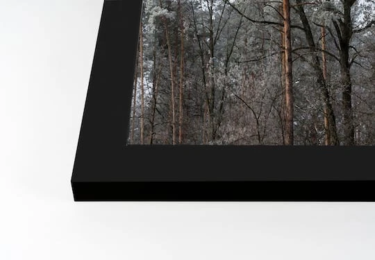 Dusty Trees Black Framed Print Under Plexiglass 5 Dusty Trees Black Framed Print Under Plexiglass - Image 3