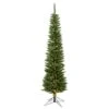 5.5ft. Pre-Lit Durham Pole Pine Artificial Christmas Tree, Warm White Dura-Lit® LED Lights