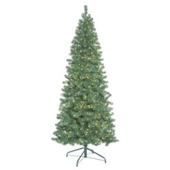 6.5ft. Pre-Lit Oregon Fir Artificial Christmas Tree, Warm White LED Lights 8 6.5ft. Pre-Lit Oregon Fir Artificial Christmas Tree, Warm White LED Lights -Christmas Designers Store D522498S 1 1