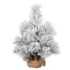 24" Unlit Frosted Beckett Pine Artificial Christmas Tree 1 24" Unlit Frosted Beckett Pine Artificial Christmas Tree -Christmas Designers Store D522656S 1