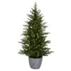 3.5ft. Pre-Lit Belgrade Pine Artificial Christmas Tree, Clear Dura-Lit® LED Lights -Christmas Designers Store D522694S 1