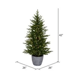 3.5ft. Pre-Lit Belgrade Pine Artificial Christmas Tree, Clear Dura-Lit® LED Lights 9 3.5ft. Pre-Lit Belgrade Pine Artificial Christmas Tree, Clear Dura-Lit® LED Lights -Christmas Designers Store D522694S 3