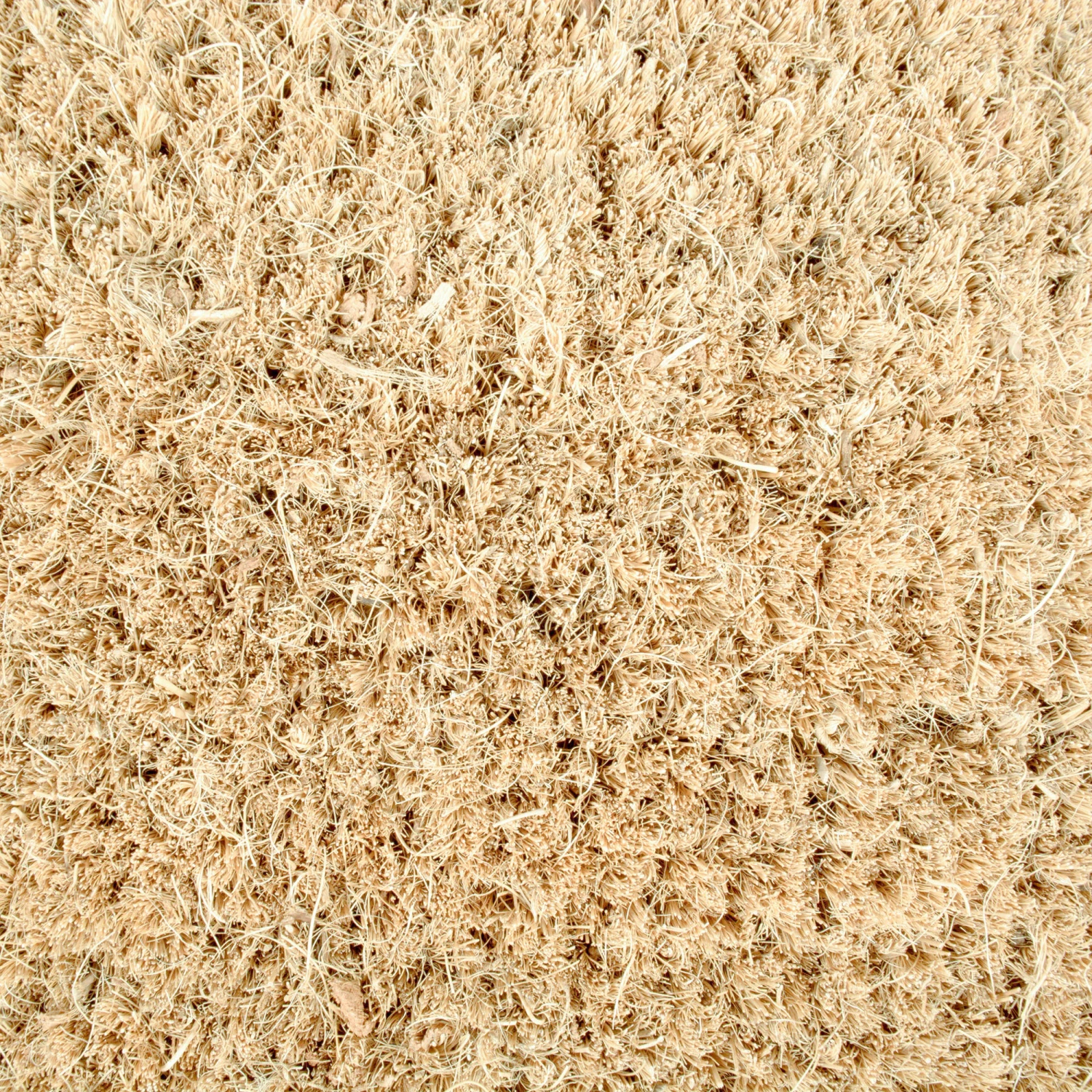 DII® Joy Doormat 8 DII® Joy Doormat - Image 6