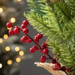 20" Unlit Cardinal Artificial Tabletop Christmas Tree 14 20" Unlit Cardinal Artificial Tabletop Christmas Tree -Christmas Designers Store D652292S 5