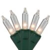 Northlight 450ct. Clear Mini Christmas Lights With Green Wire