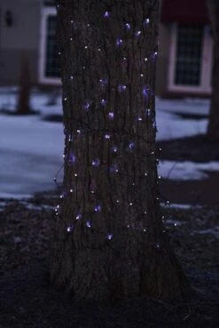 Northlight Pre-Lit Blue LED Christmas Lights Net-Style Tree Trunk Wrap 8 Northlight Pre-Lit Blue LED Christmas Lights Net-Style Tree Trunk Wrap -Christmas Designers Store D676268S 2