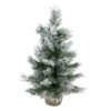 Northlight 18" Unlit Flocked Pine Artificial Christmas Tree In Burlap Base 1 Northlight 18" Unlit Flocked Pine Artificial Christmas Tree In Burlap Base -Christmas Designers Store D676640S 1