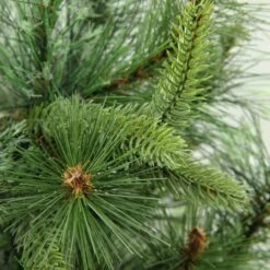 Northlight 3ft. Unlit Full Ashcroft Cashmere Pine Artificial Christmas Tree 12 Northlight 3ft. Unlit Full Ashcroft Cashmere Pine Artificial Christmas Tree -Christmas Designers Store D676683S 12